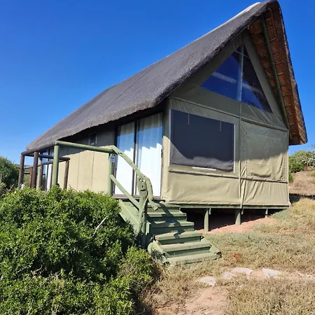 Harmony Luxury Tents & Safari Addo Exterior photo