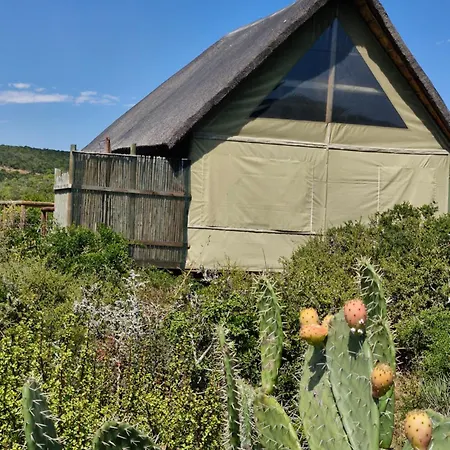 Harmony Luxury Tents & Safari Addo Exterior photo