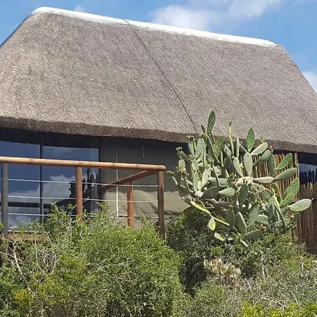 Harmony Luxury Tents & Safari Addo Exterior photo