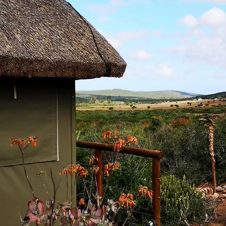 Harmony Luxury Tents & Safari Addo Exterior photo