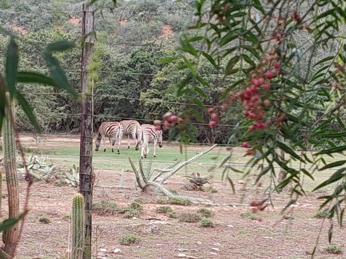 Harmony Luxury Tents & Safari *
