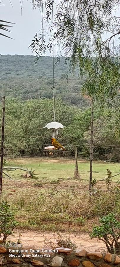 Harmony Luxury Tents & Safari * Addo