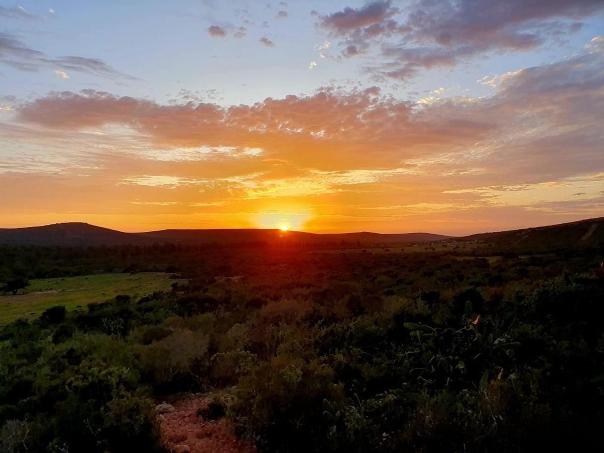 Harmony Luxury Tents & Safari Addo