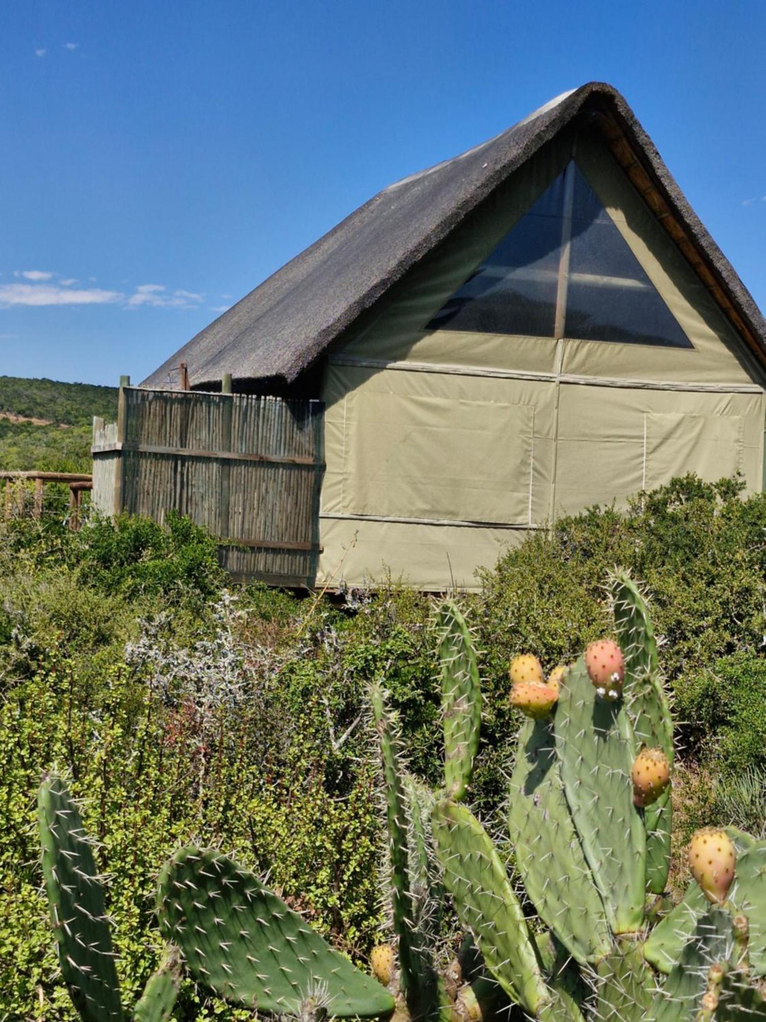 Harmony Luxury Tents & Safari Lodge *