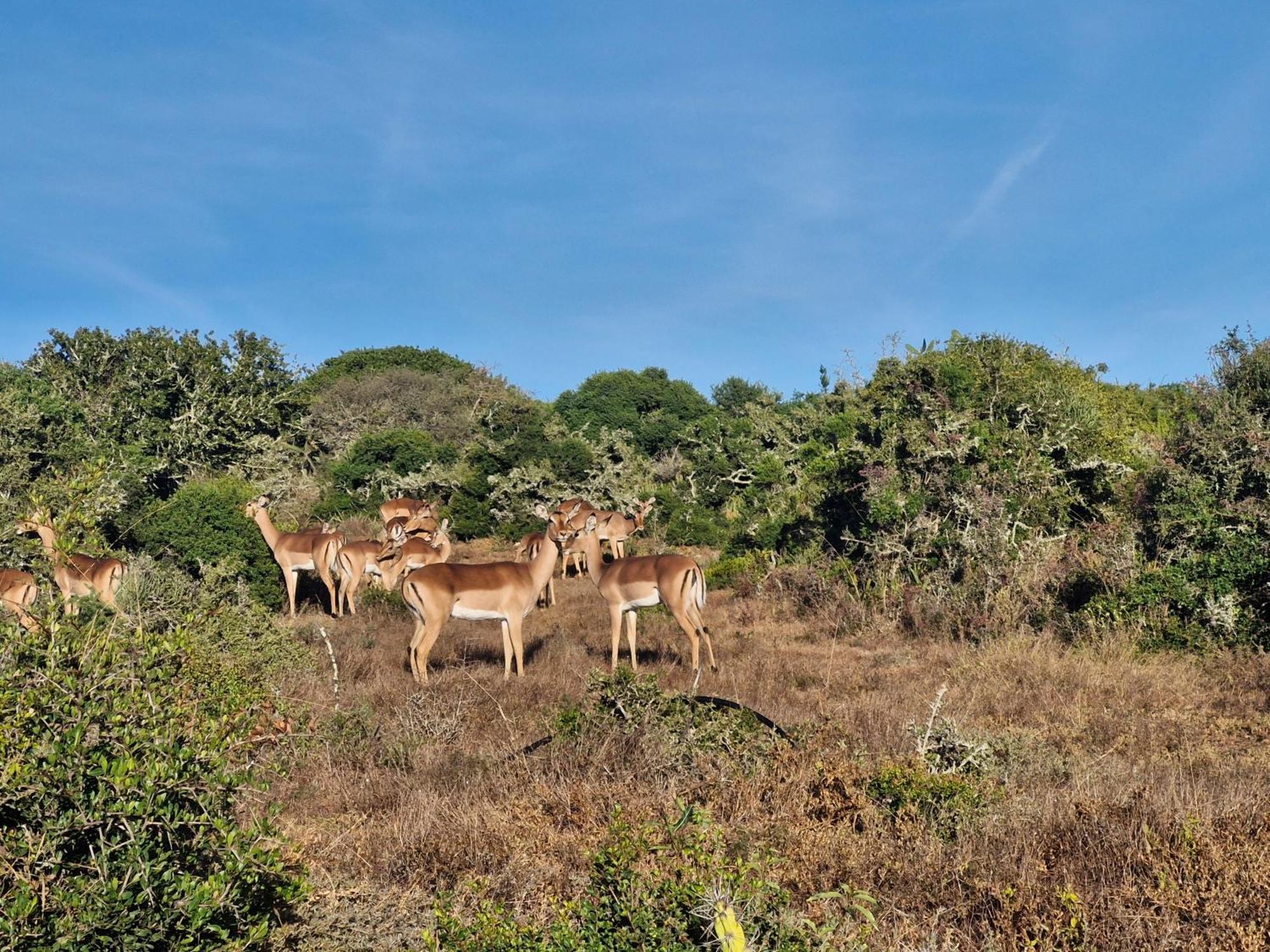 Lodge Harmony Luxury Tents & Safari