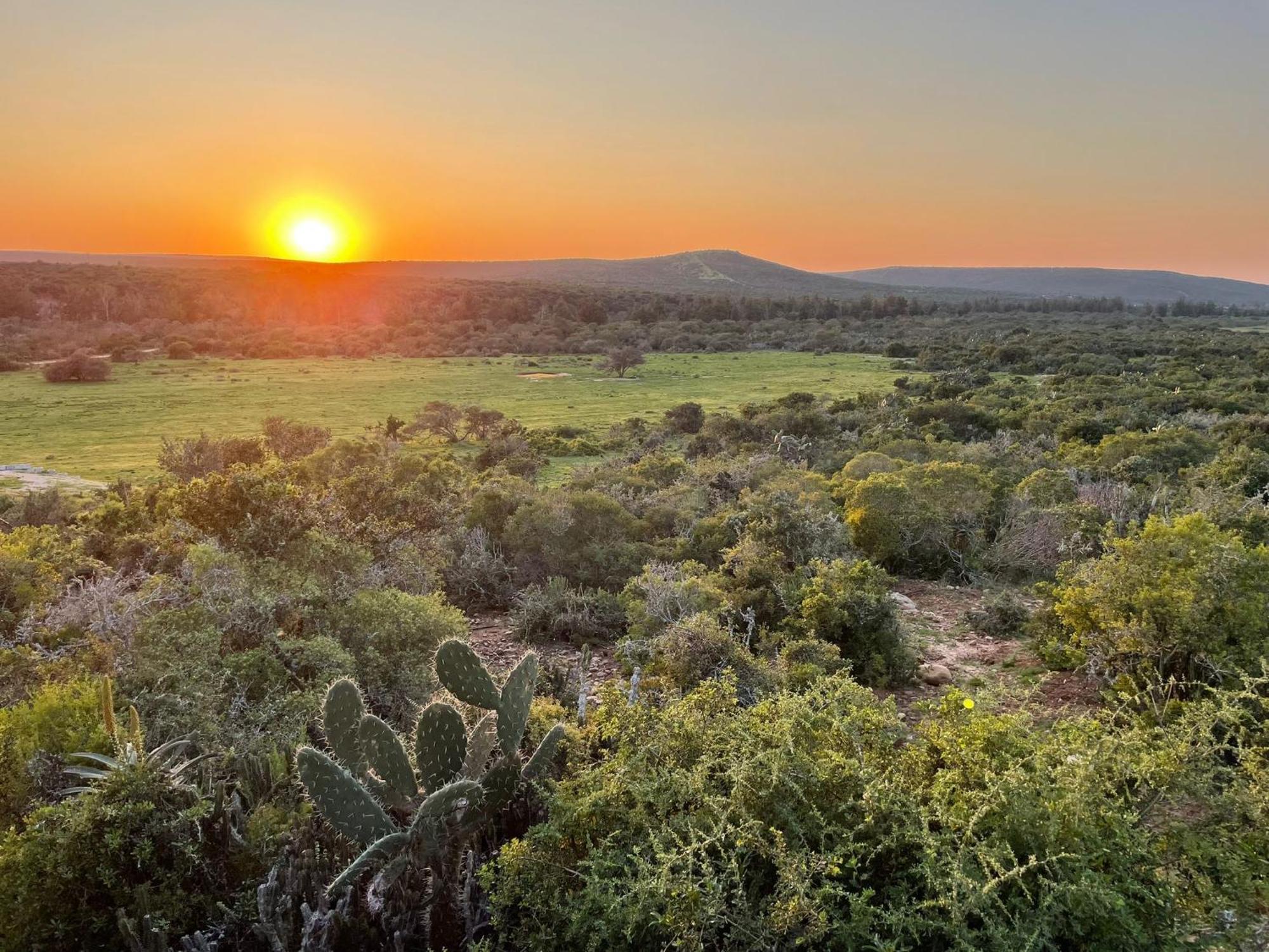 Harmony Luxury Tents & Safari Lodge