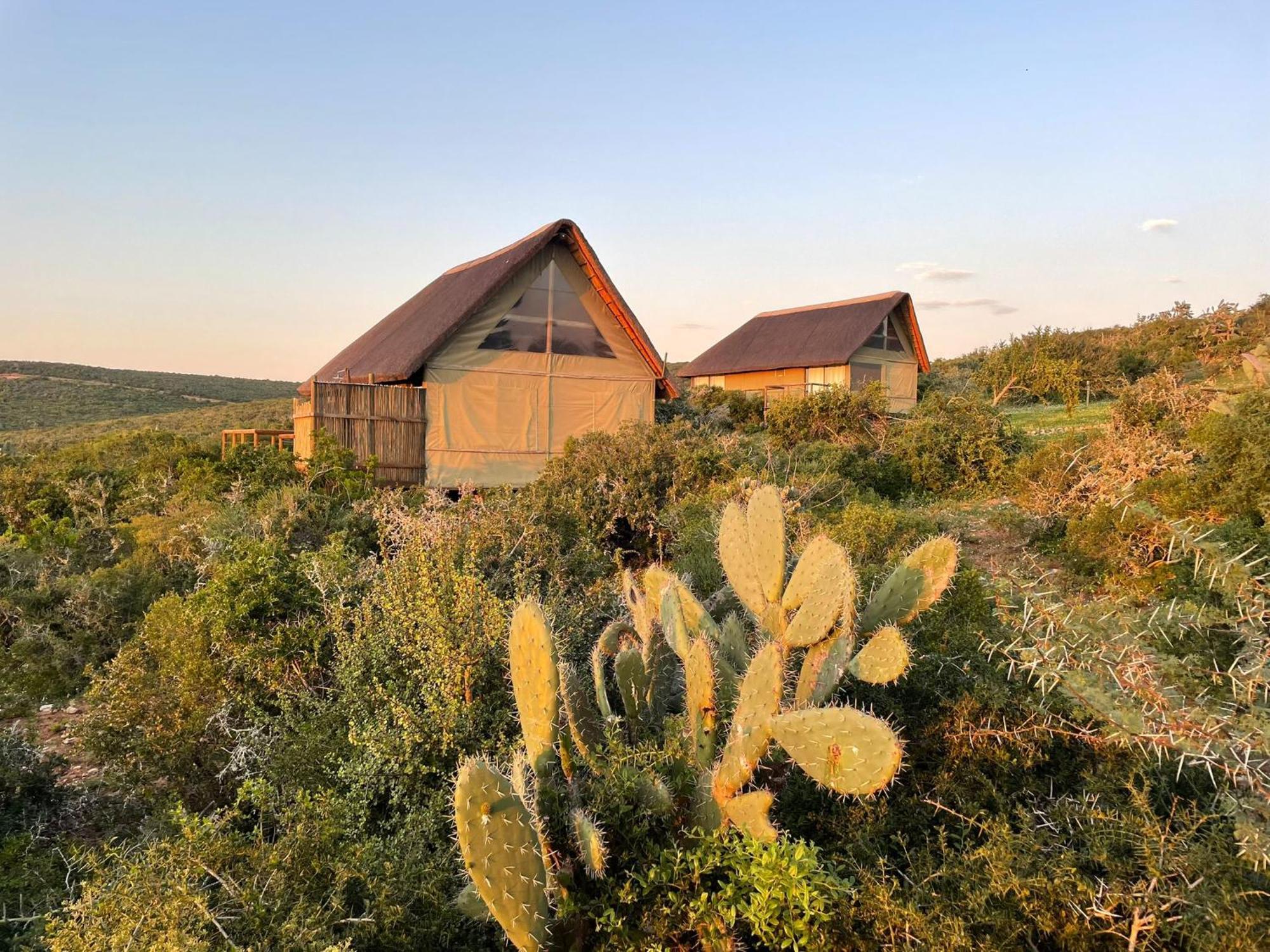 Lodge Harmony Luxury Tents & Safari