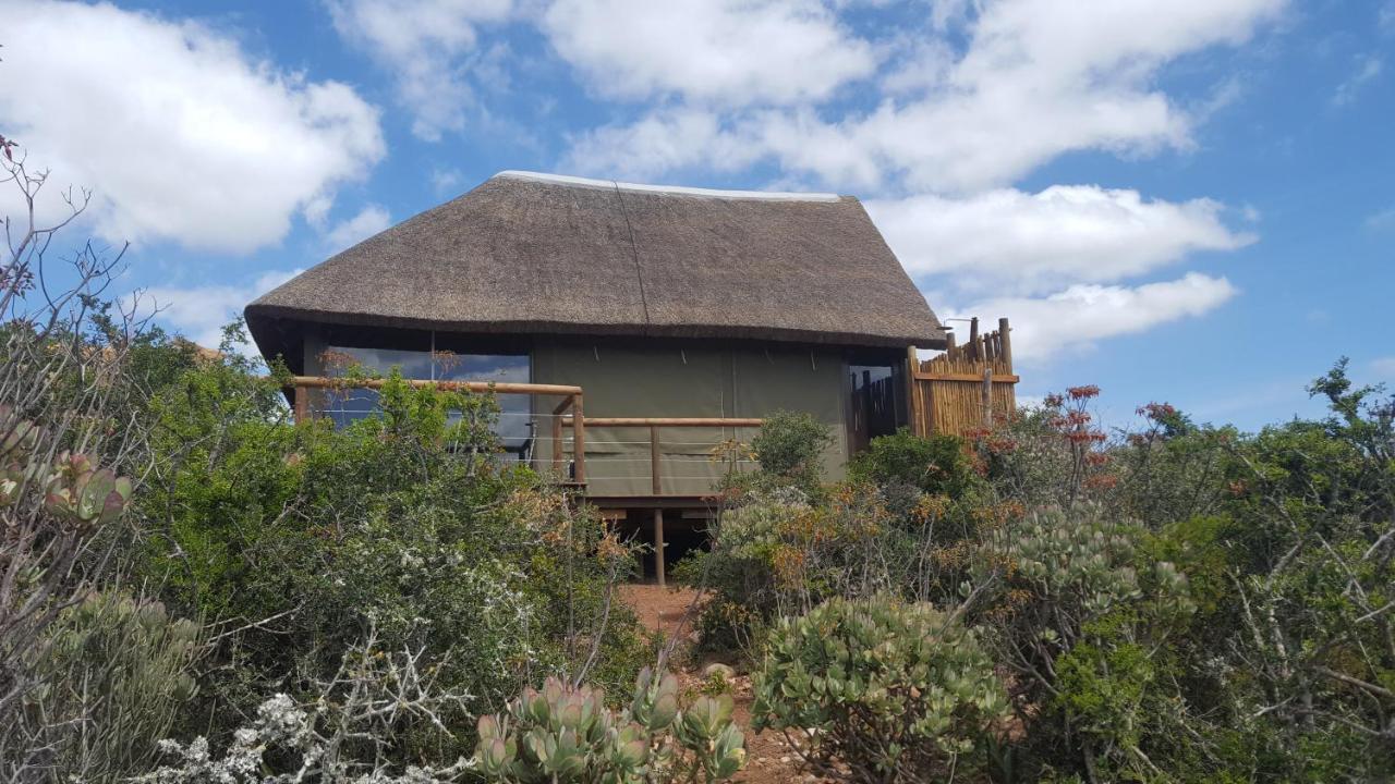 Harmony Luxury Tents & Safari * Addo