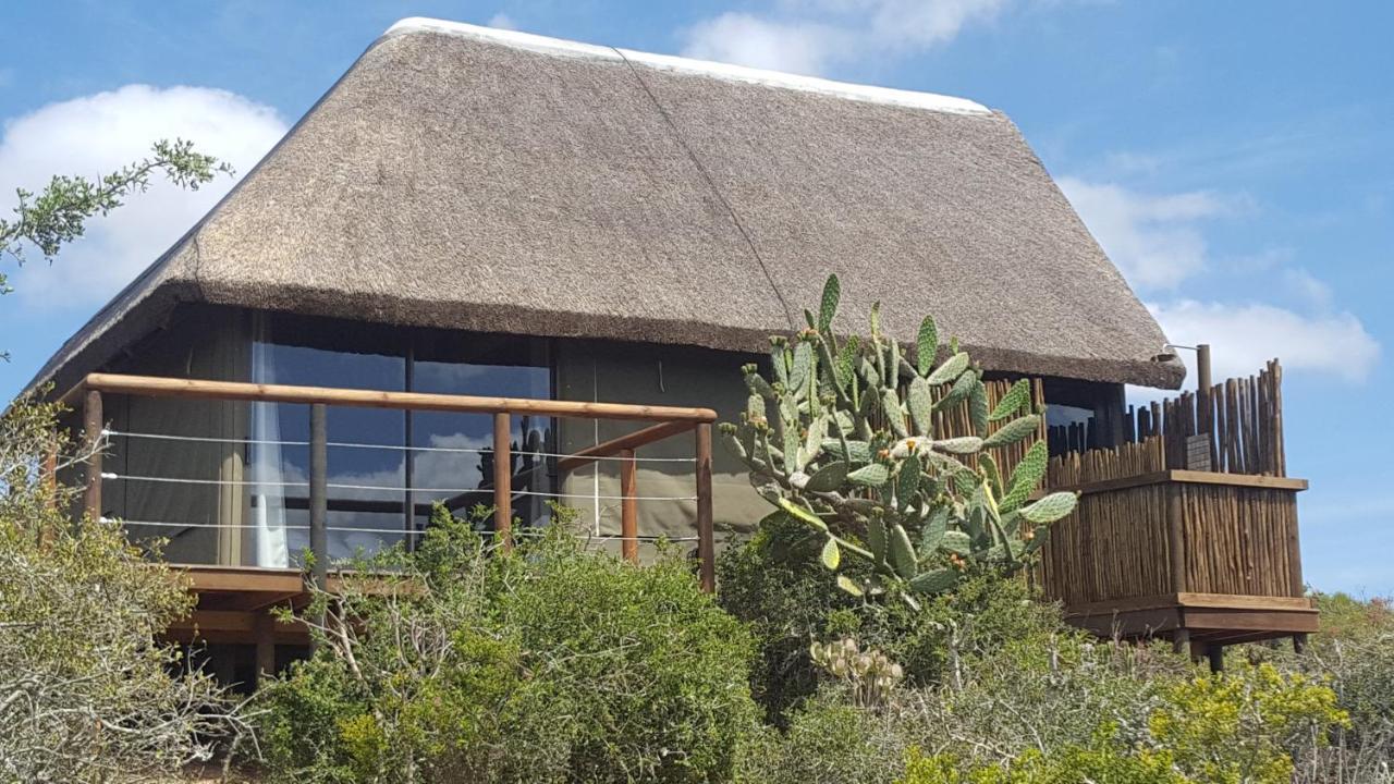 Lodge Harmony Luxury Tents & Safari