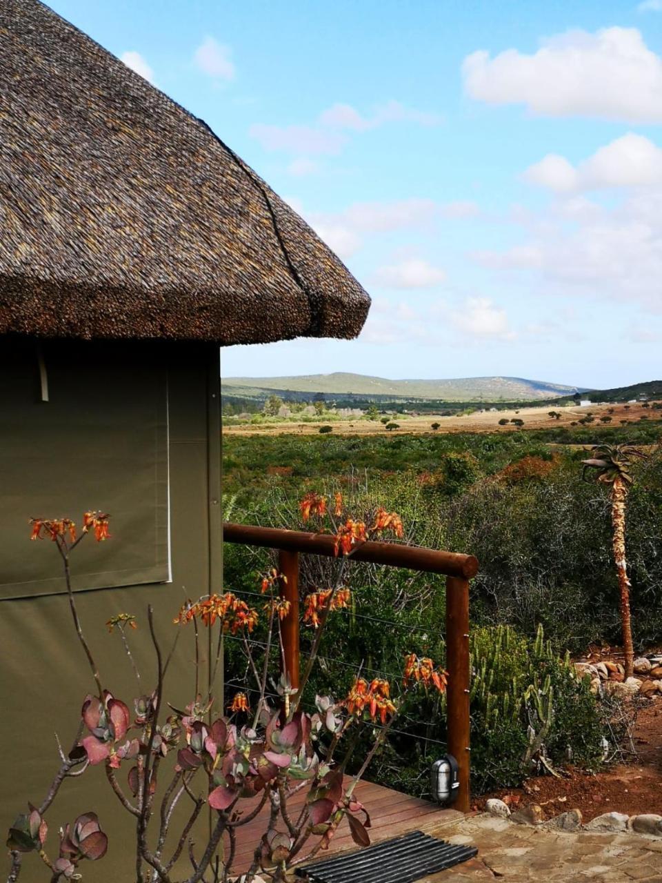 Lodge Harmony Luxury Tents & Safari *