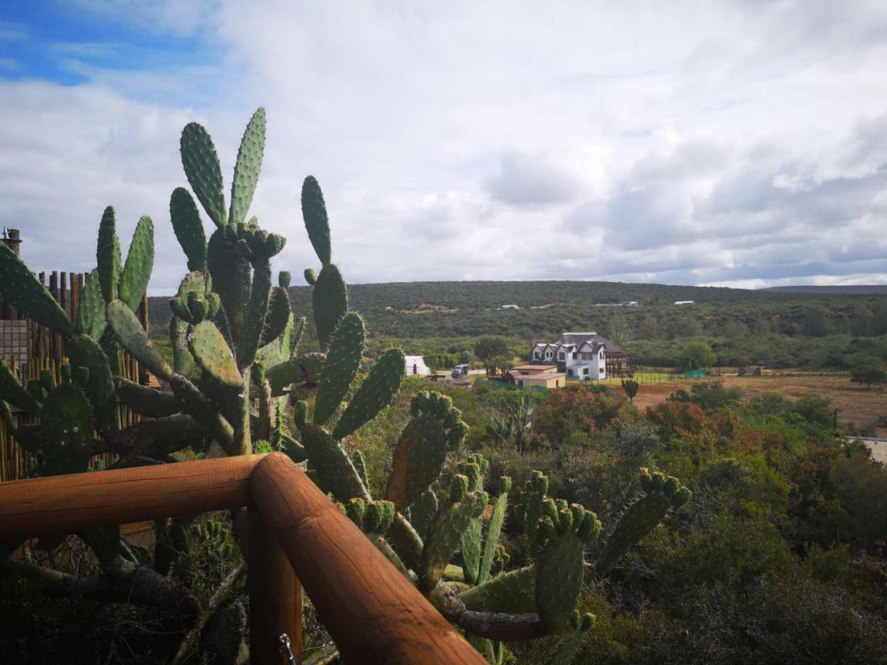 Lodge Harmony Luxury Tents & Safari
