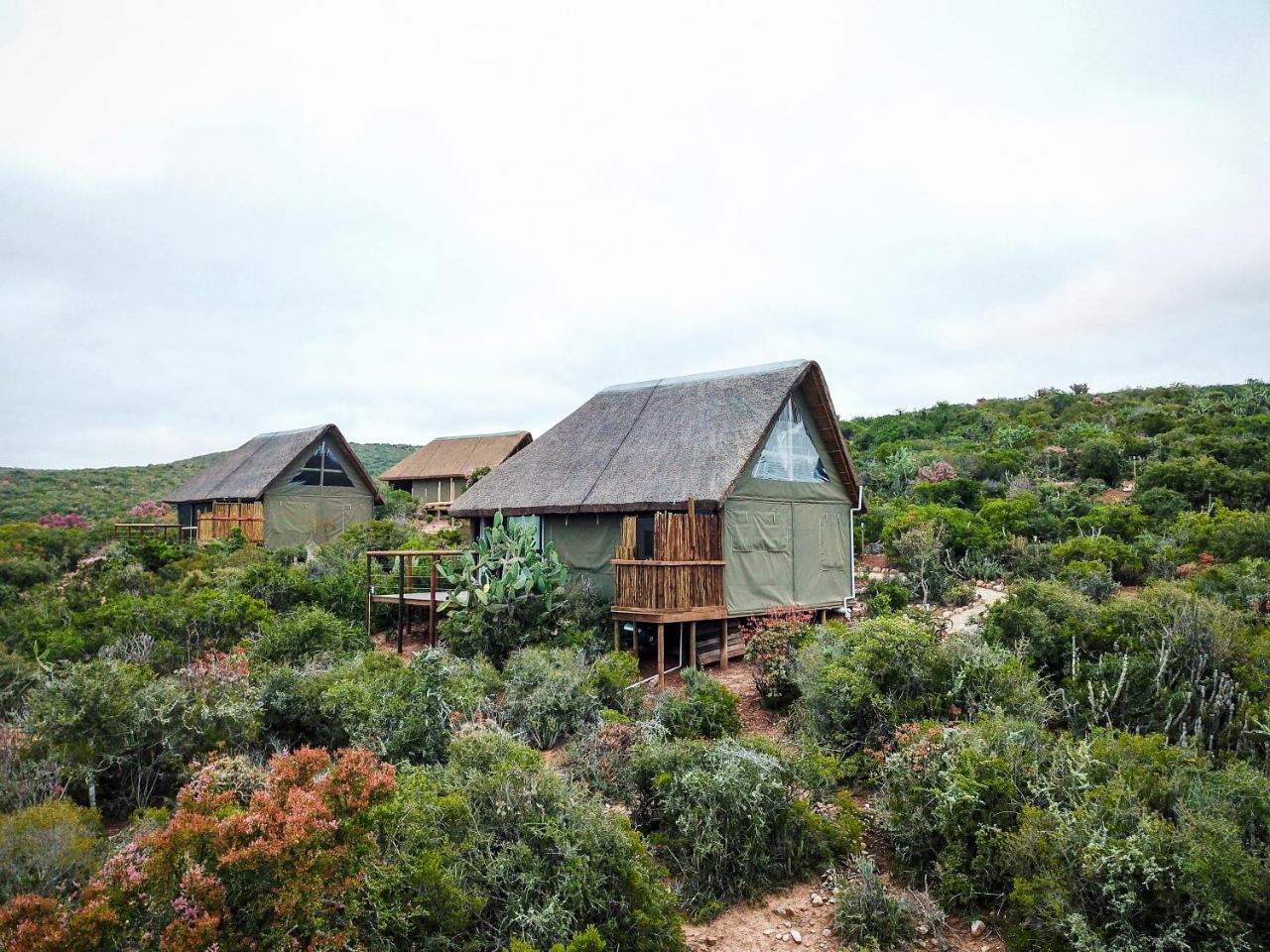 Harmony Luxury Tents & Safari Lodge
